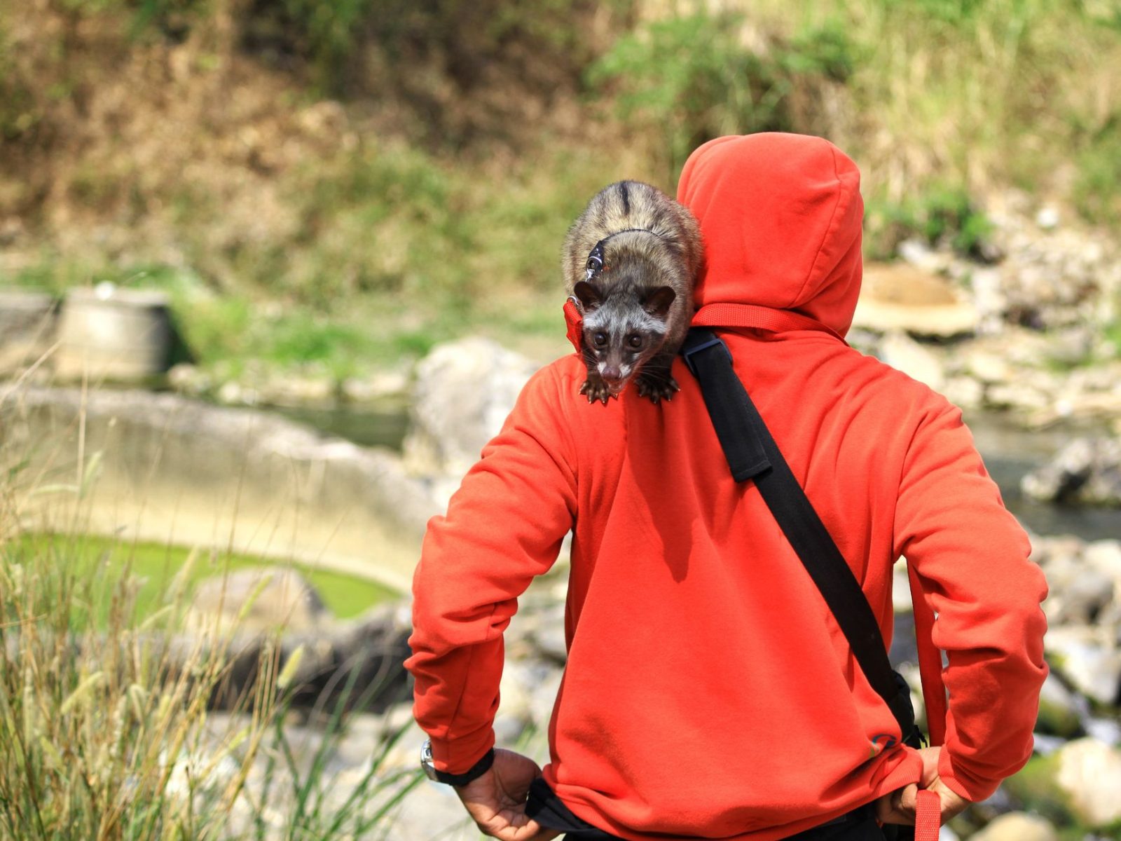 Memilih Tas Selempang Outdoor: Fitur Penting yang Perlu Diperhatikan